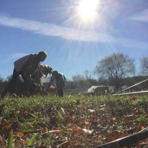 Meet your Posher, Jessi - Picture 1 of 1